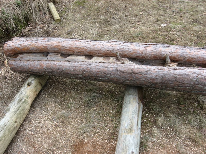olisikohantllekytt.jpg